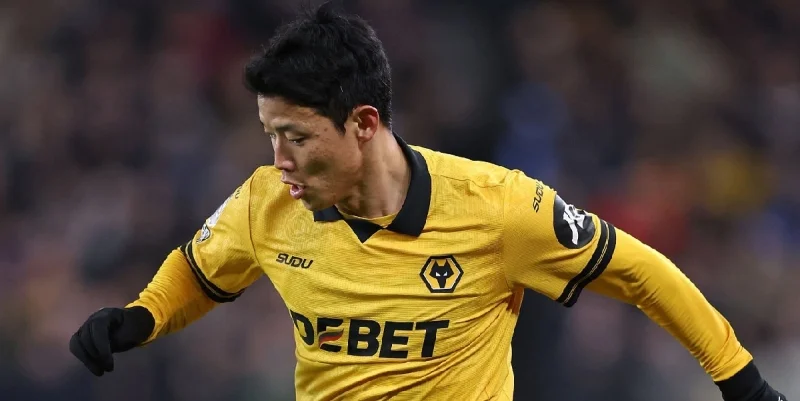 Wolverhampton Wanderers - Shrewsbury Town