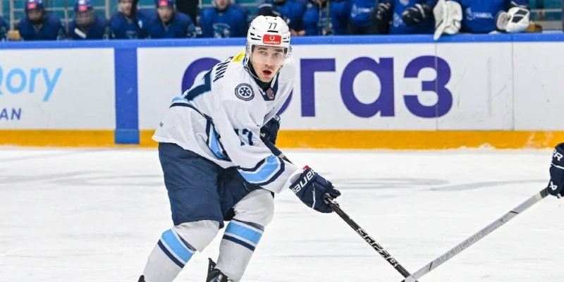 Sibirskie Snaipery - Tyumensky Legion