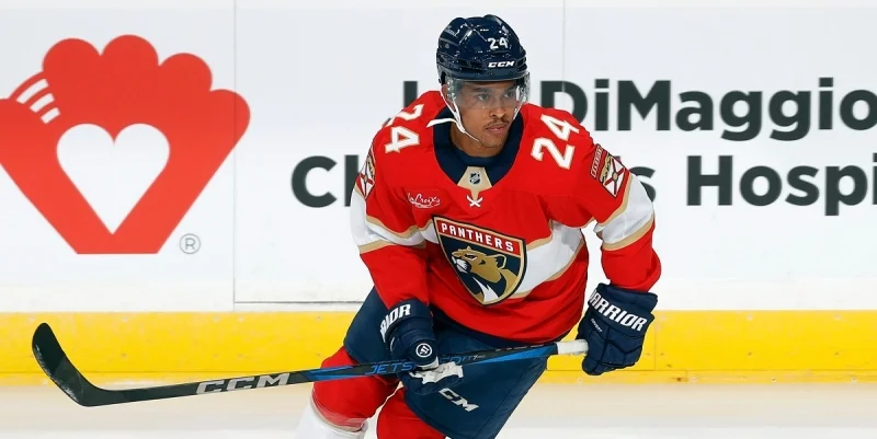 Washington Capitals - Florida Panthers Washington Capitals - Florida Panthers