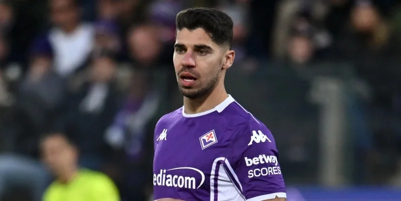 Fiorentina - Torino
