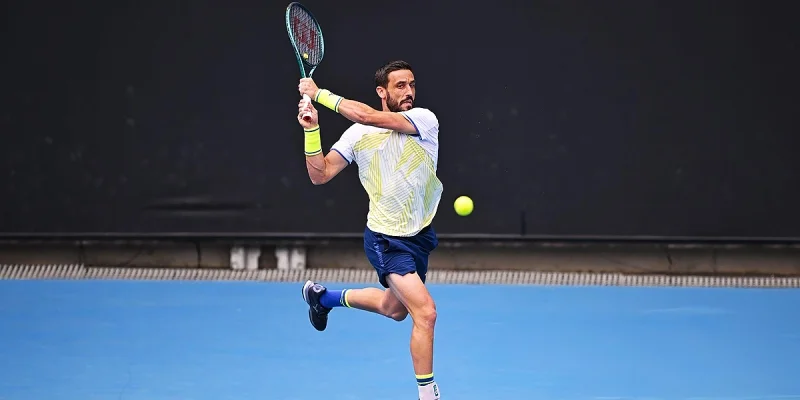 Damir Dzumhur - Pedro Martinez
