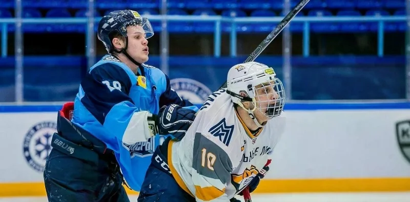 Stalnye Lisy - Sibirskie Snaipery Stalnye Lisy - Sibirskie Snaipery