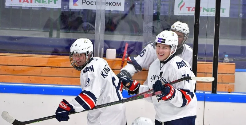 Stalnye Lisy - Snezhnye Barsy