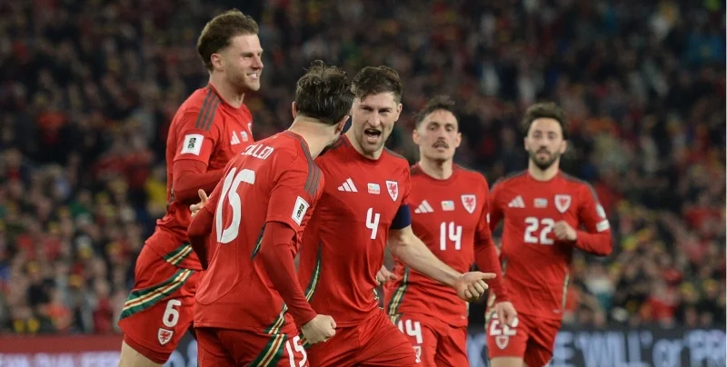 Wales - Bosnia and Herzegovina