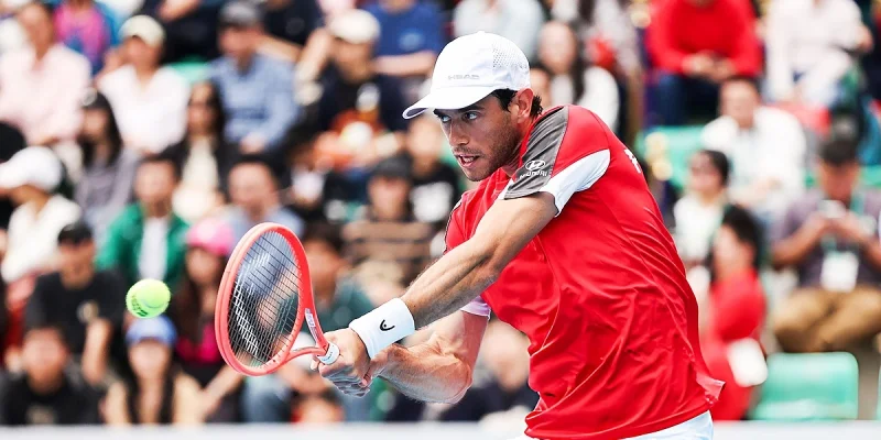 Nuno Borges - Damir Dzumhur