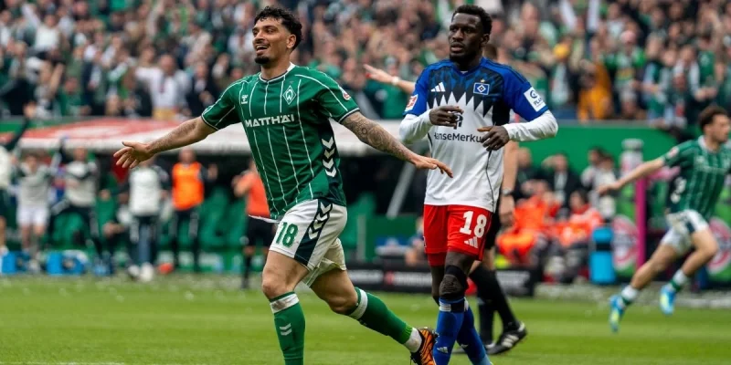 Hamburger SV - Hoffenheim