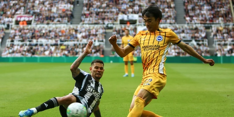 Brighton & Hove Albion - Wolverhampton Wanderers Brighton & Hove Albion - Wolverhampton Wanderers