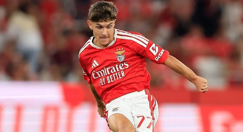 Benfica - Gil Vicente Benfica - Gil Vicente