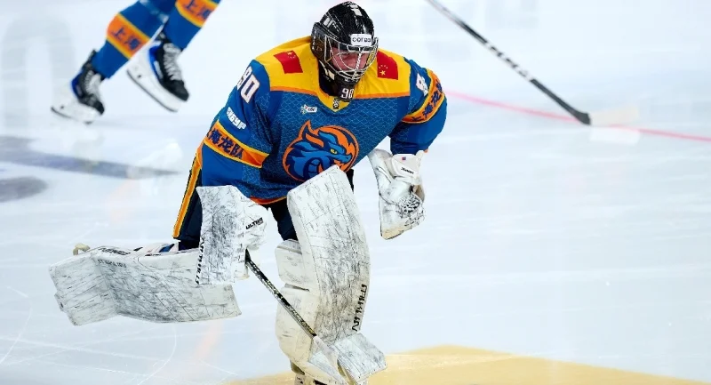 Shanghai Dragons - HC Sochi Shanghai Dragons - HC Sochi
