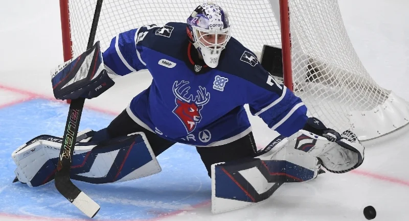 HC Dynamo Moscow - Torpedo
