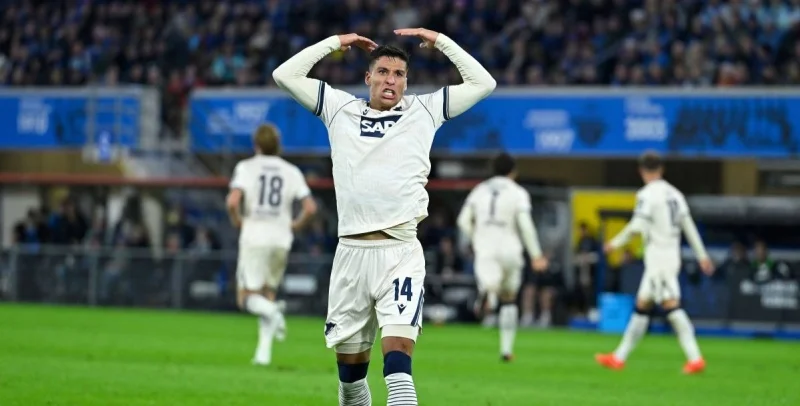 Hoffenheim - Hamburger SV