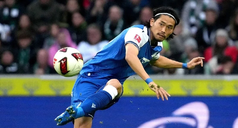 Hoffenheim - Lyon Hoffenheim - Lyon