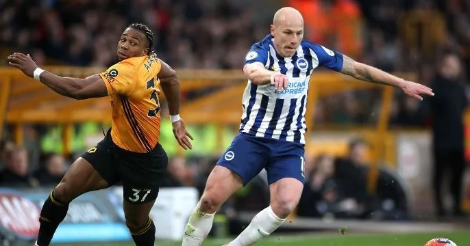 Wolverhampton Wanderers - Brighton & Hove Albion